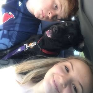 Meet your Posher, Harley